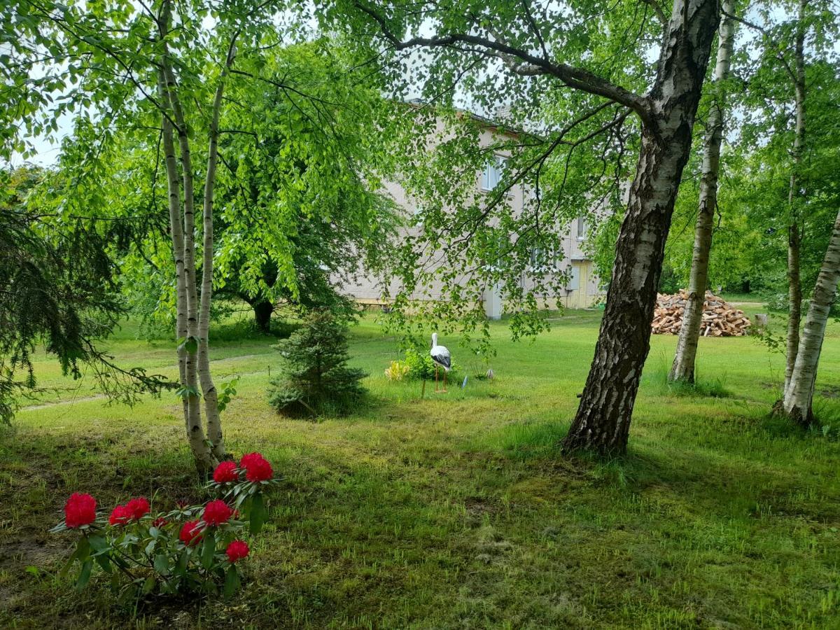 Quiet Summer Apartment Aucugals Εξωτερικό φωτογραφία