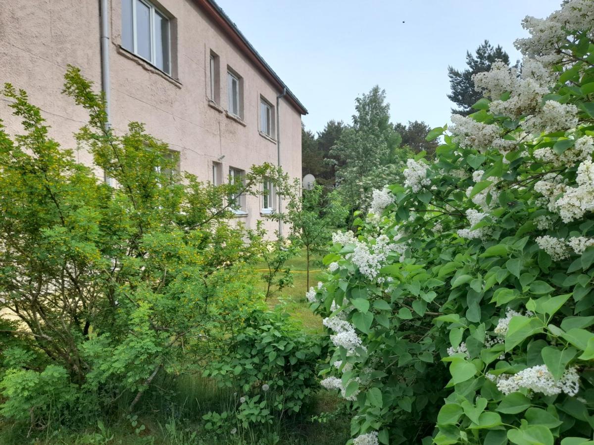 Quiet Summer Apartment Aucugals Εξωτερικό φωτογραφία
